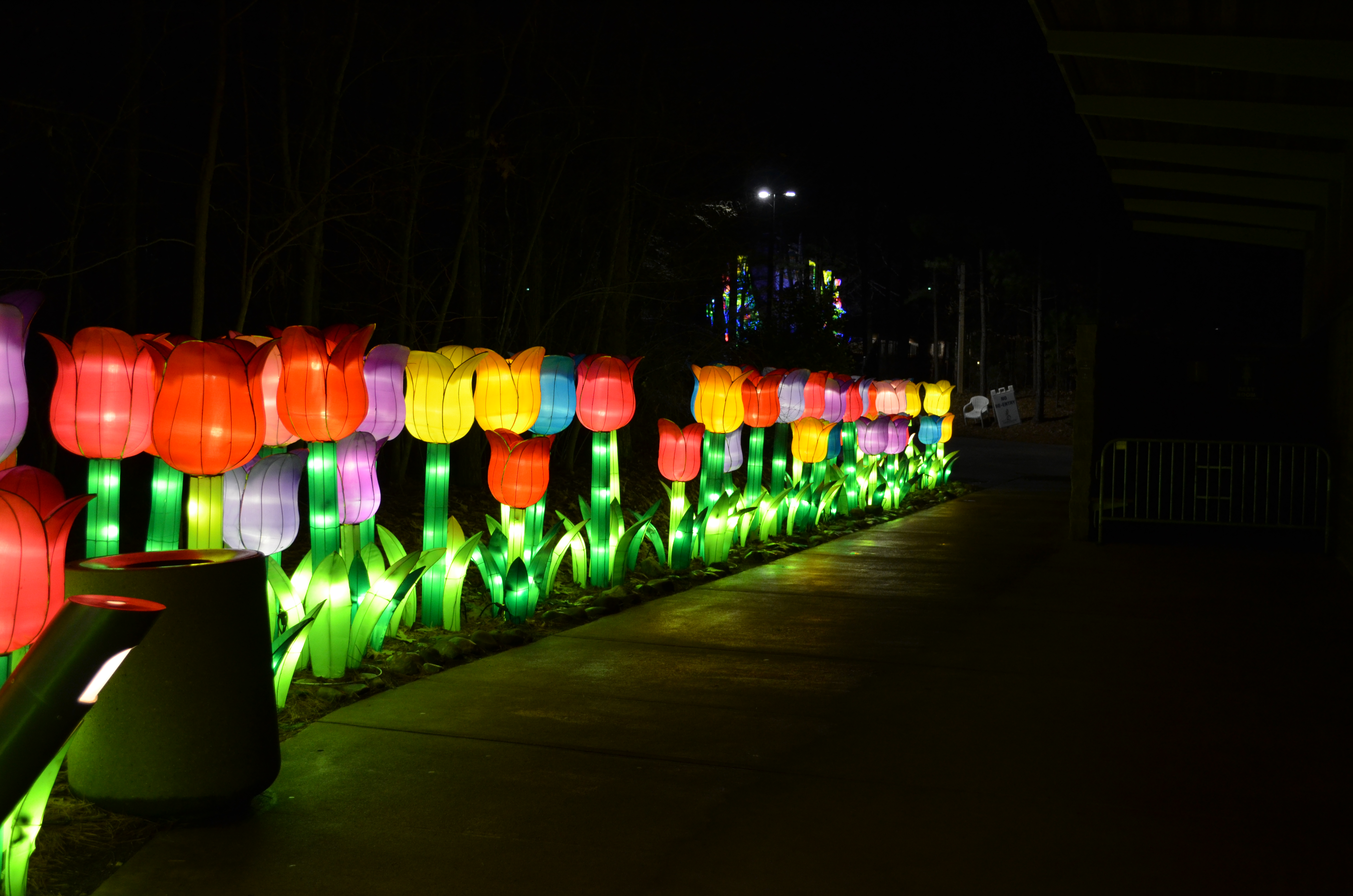 ./2015/33 - Chinese Lantern Festival/DSC_0584.JPG